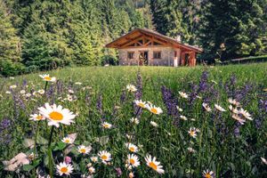 Alquiler Vacacional - Baita Valon - Alpine Hideaway