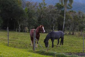 Alojamiento - Pousada Malacara