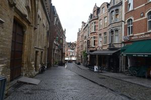 Alojamiento - Hotel Professor