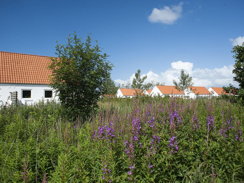 Habitación Skagen Strand Hotel Og Feriecenter