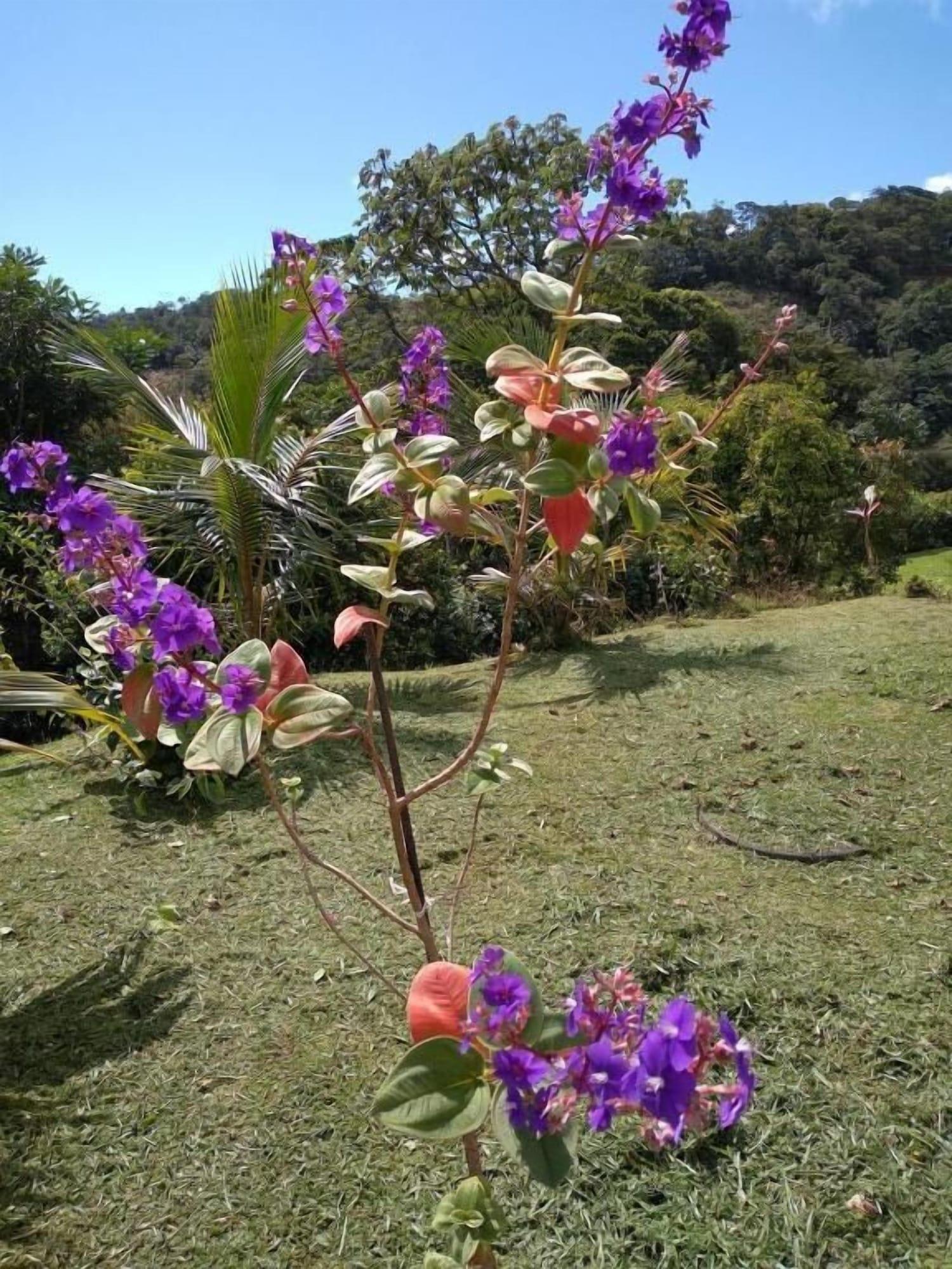 Comodidades del Alojamiento Refugium Silent Wings With Natural Pool