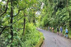 Actividad - Aventura de descenso en bici y caminata a la cascada Ko'olau - Tour de día completo