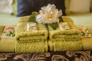 Alojamiento - Apex on Fenton