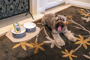 Alojamiento - The Peninsula New York