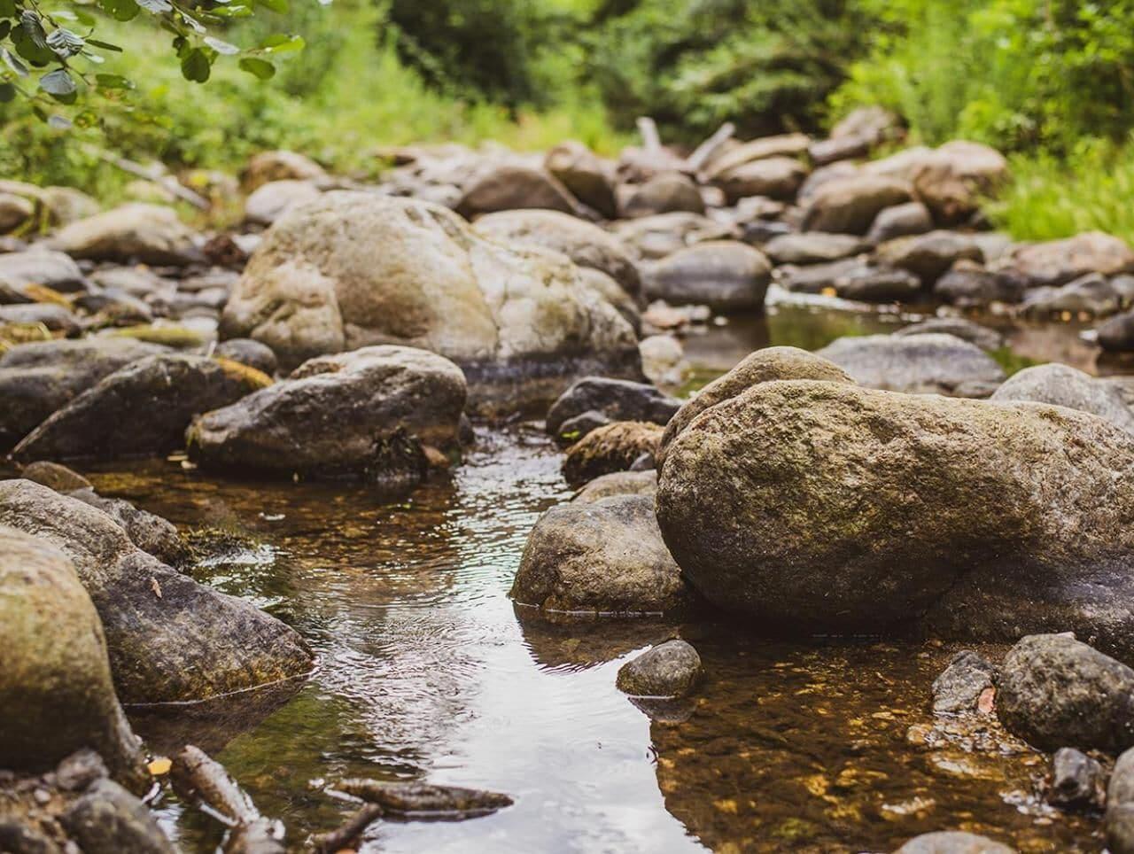 Vista Exterior Les Pierres De La Massane