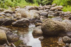Alojamiento - Les Pierres De La Massane