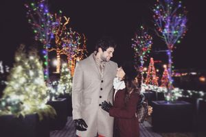 Actividad - Desde Niágara: Festival de las Luces de Invierno