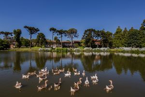 Alojamiento - Grande Hotel Canela