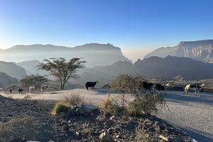 Alojamiento - Hotel Indigo Jabal Akhdar Resort & Spa by IHG