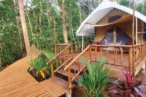 Alquiler Vacacional - Cardamom Tented Camp