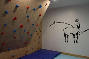 Alquiler Vacacional - LUXURY GITE 9P, SAUNA, CLIMBING ROOM