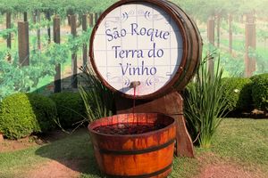 Actividad - Ruta del Vino