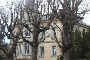 Alojamiento - Les Marronniers