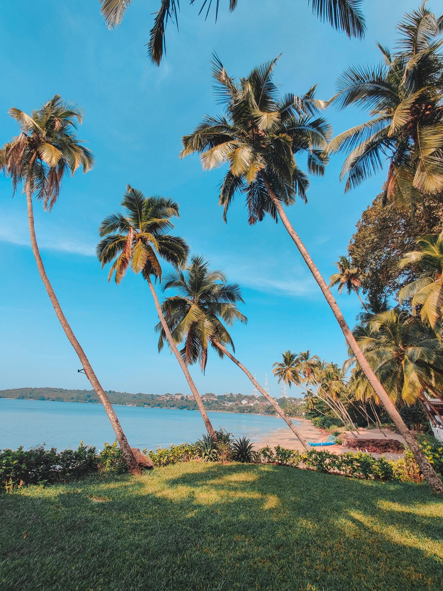 Vista Exterior Bambolim Beach Resort