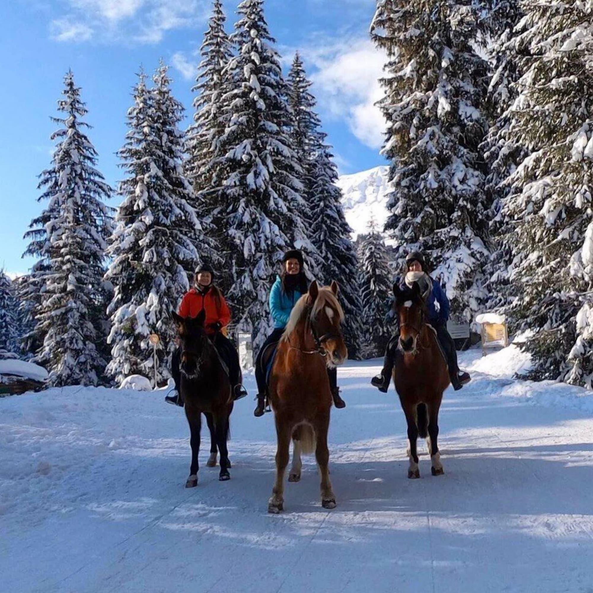 Instalaciones Recreativas Guest House du Grand Paradis