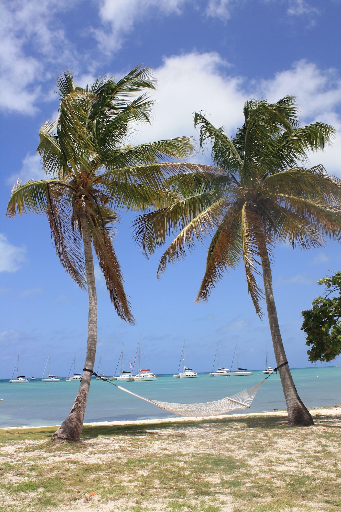 Playa Anegada Reef Hotel
