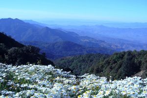 Actividad - Parque Nacional de Doi Inthanon - Tour de día completo