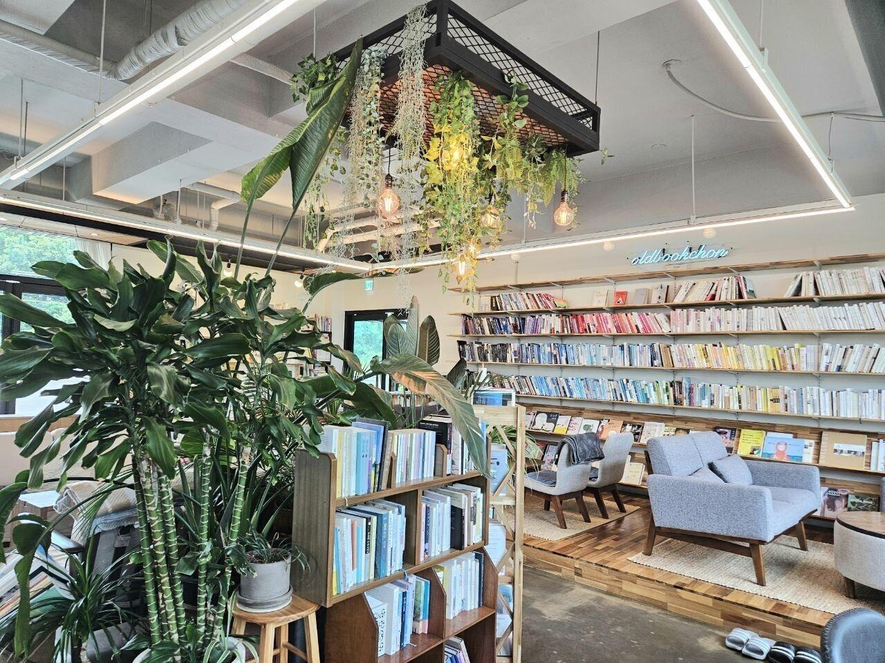 Vista Lobby Bookchon Place Jeju