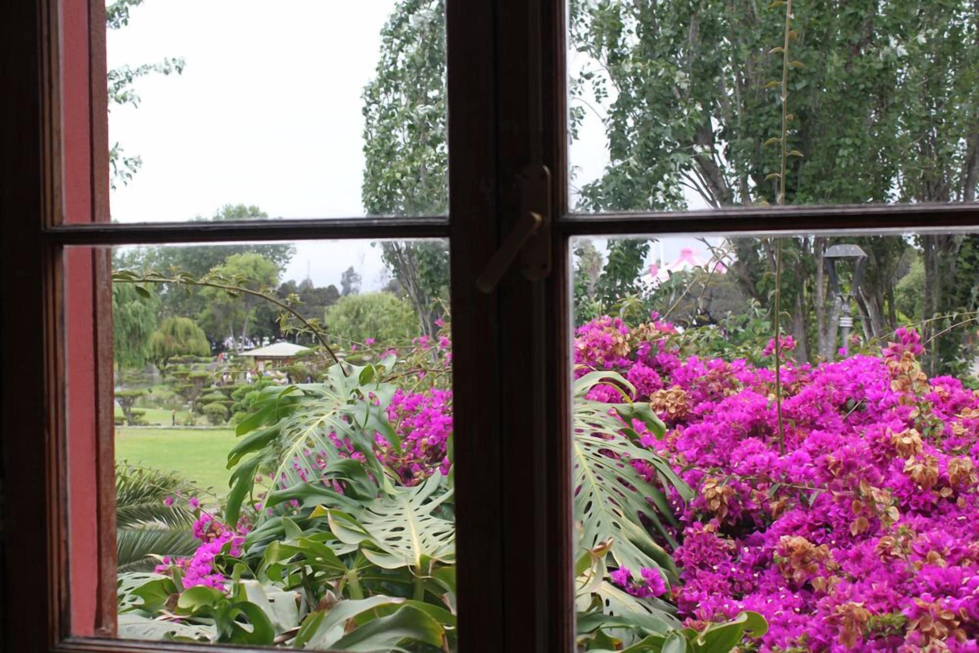 Habitación EL ARBOL HOSTEL