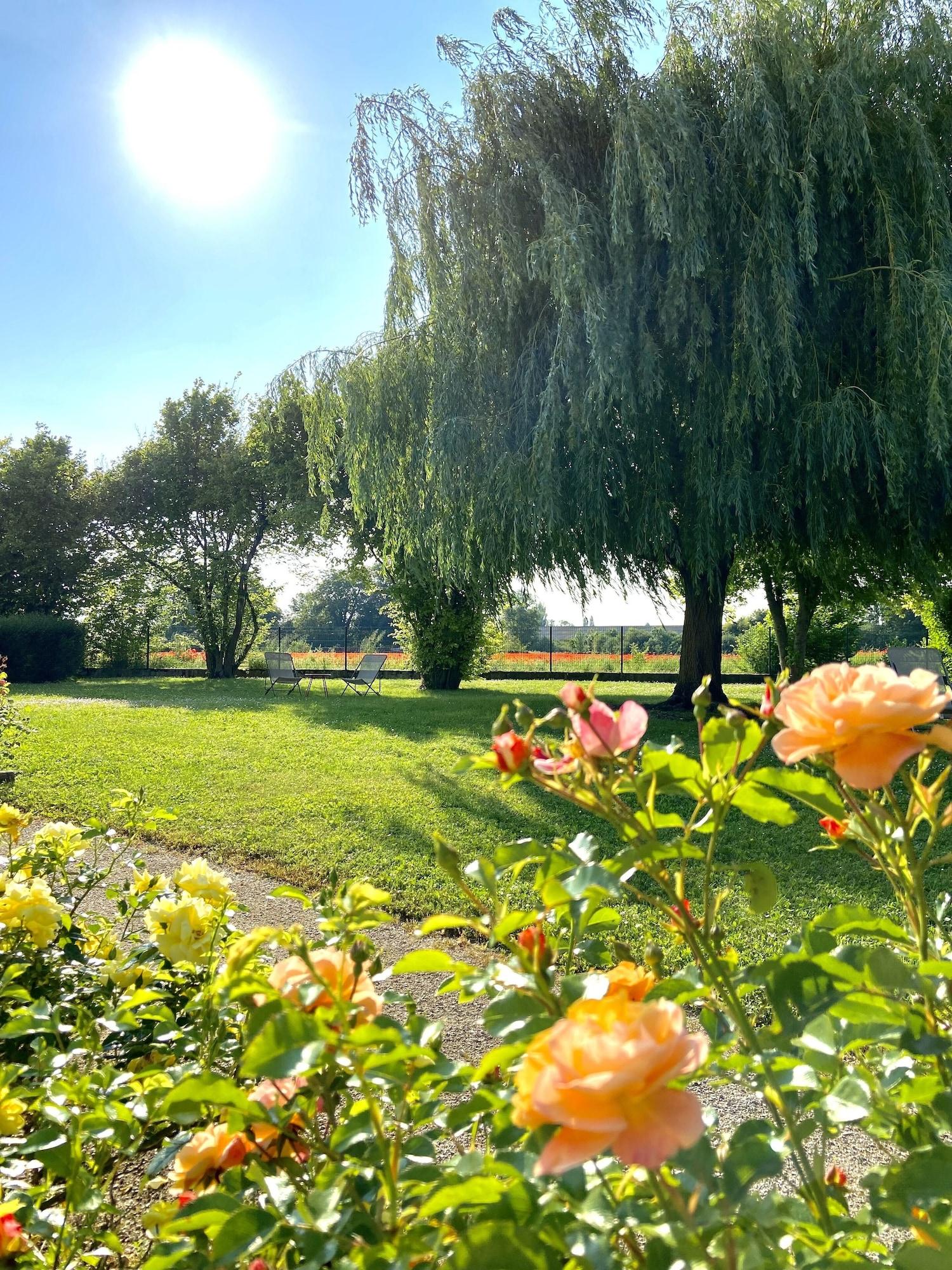 Vista Exterior L'Orée des Vignes