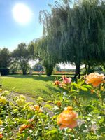 Alojamiento - L'Orée des Vignes