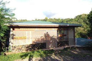 Alojamiento - Hakuna Matata Drake Bay Hostel