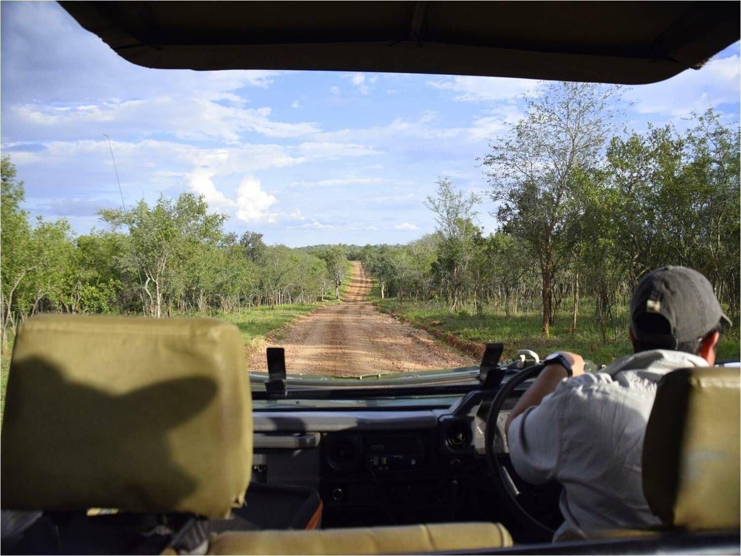 Instalaciones Recreativas Raptor Retreat Game Lodge