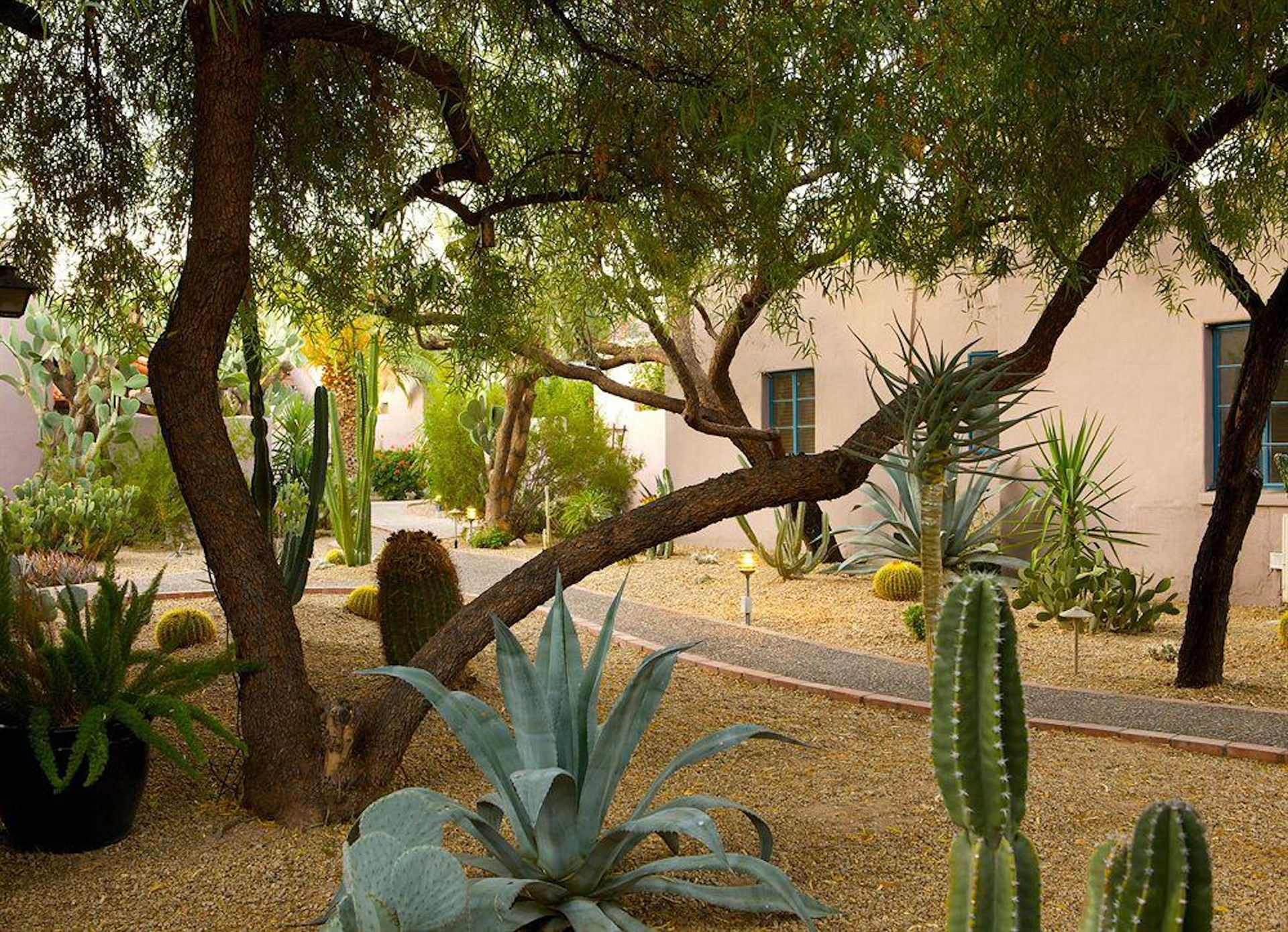 Vista Exterior Lodge on the Desert
