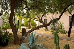 Paquete - Lodge on the Desert