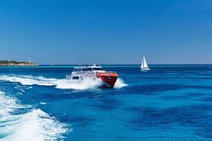 Actividad - Billete de ferry Rottnest Express Perth