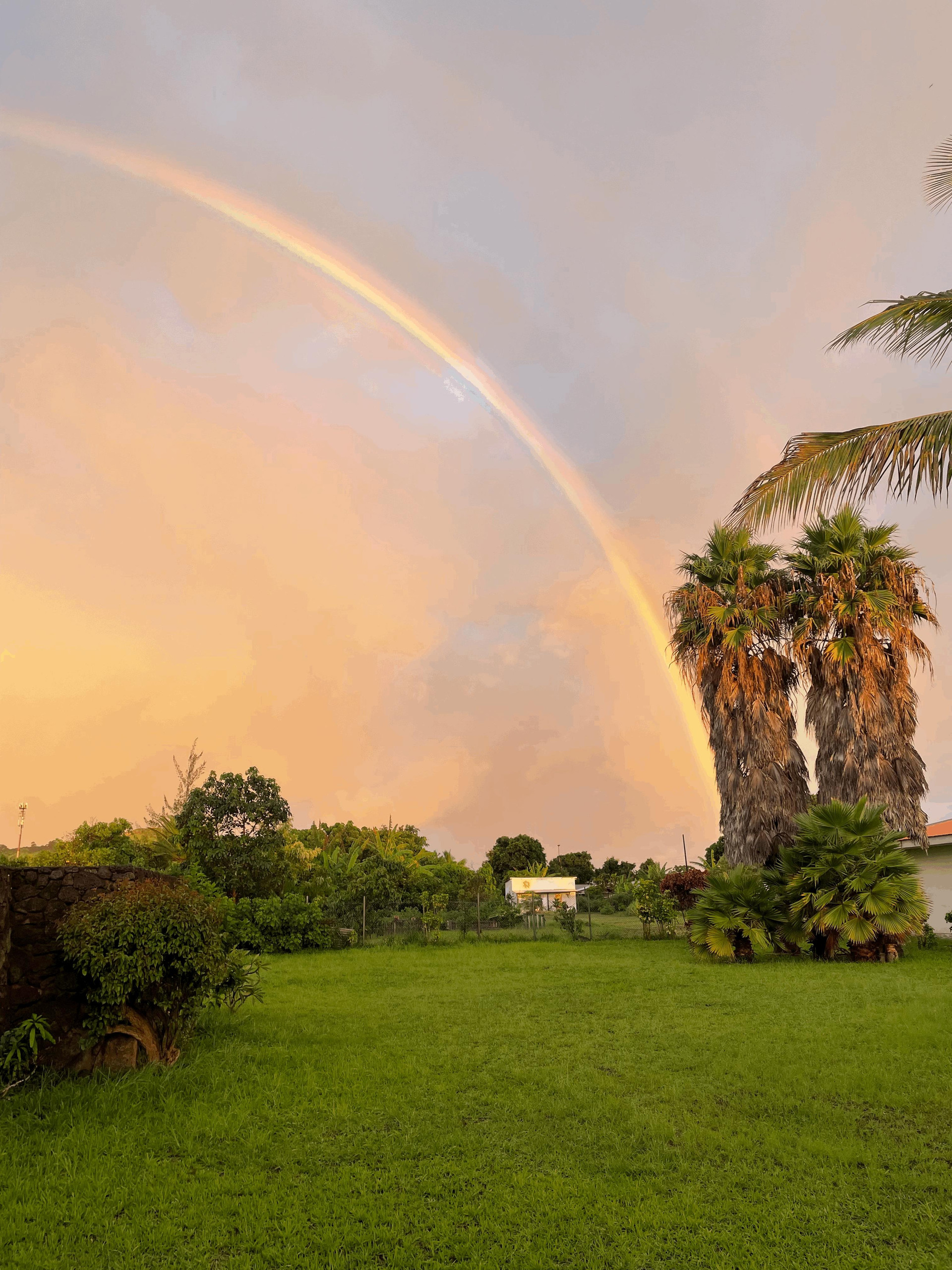 Comodidades del Alojamiento Manureva Nui Hotel Boutique
