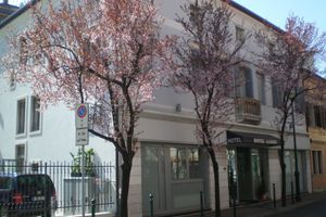 Alojamiento - Hotel Aaron