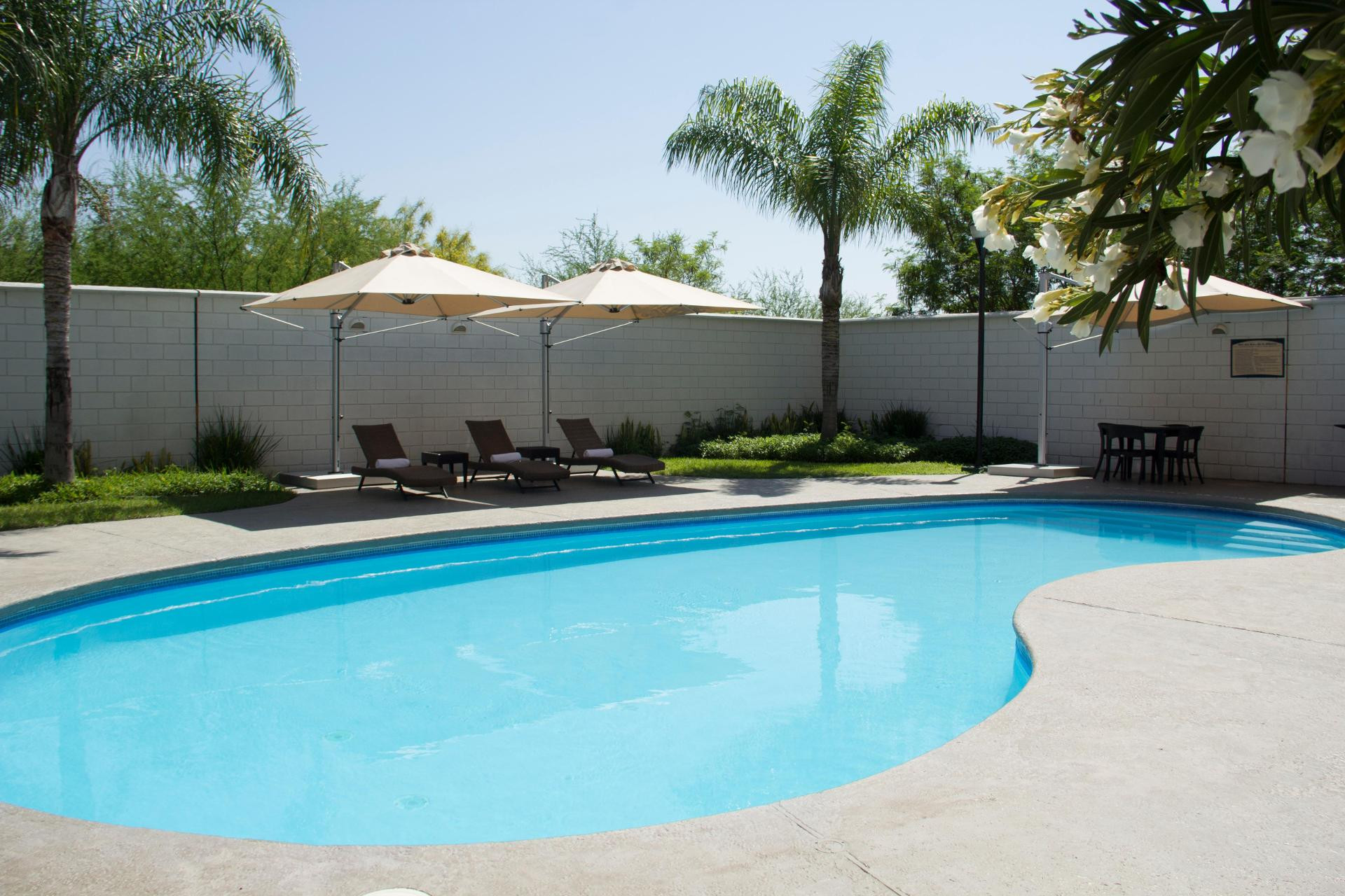 Vista Piscina Wyndham Garden Monterrey Aeropuerto