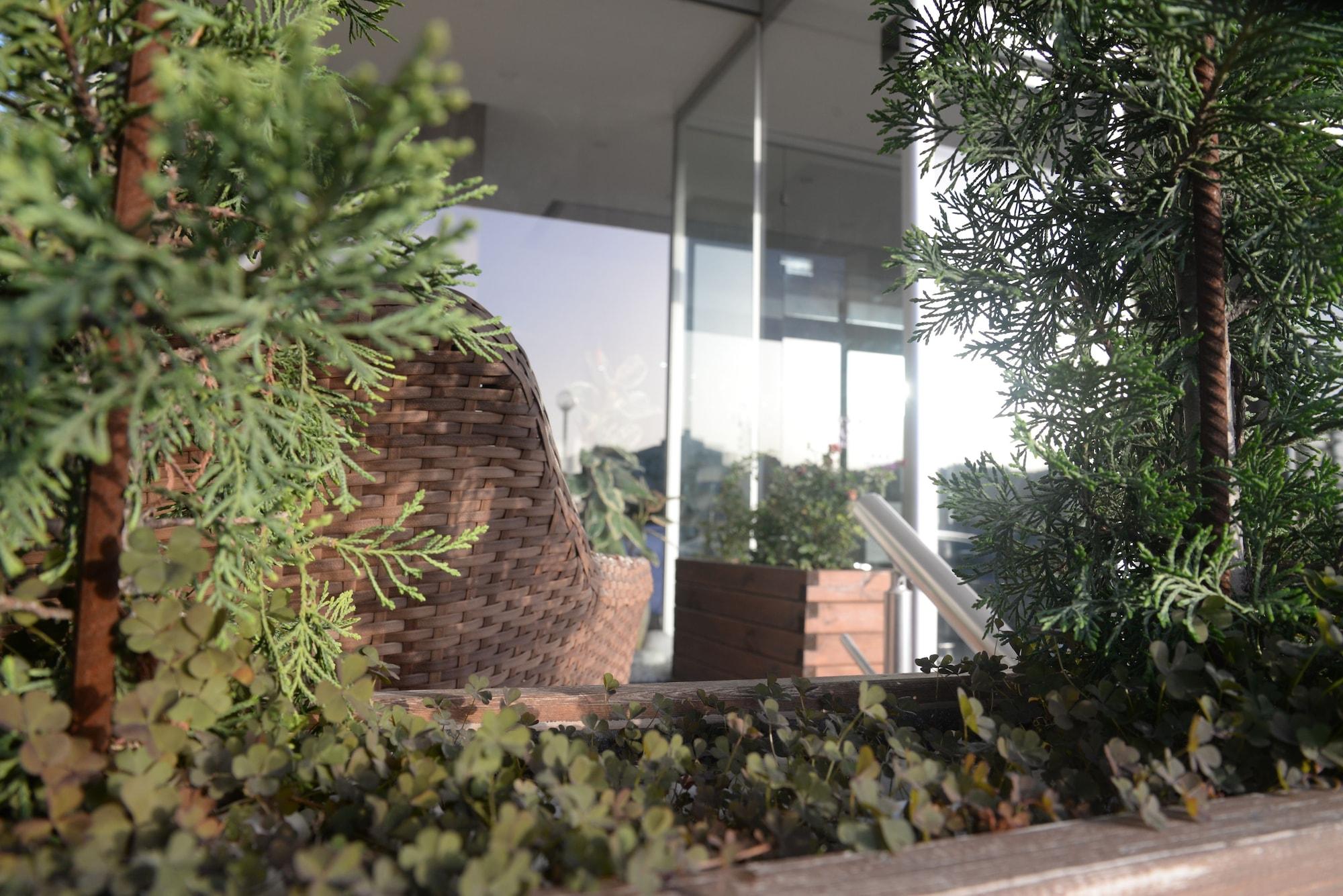 Vista Exterior Hande Hotel
