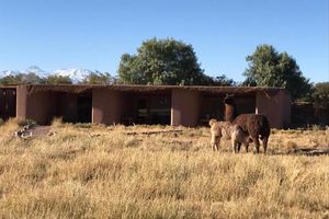 Alojamiento - Eco-Lodge El Andinista