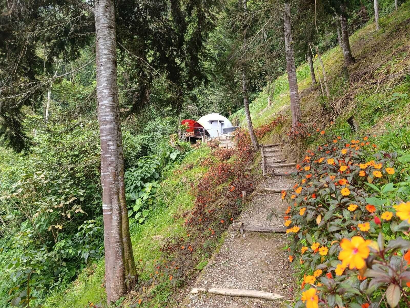 Equipamiento de Habitación Finca Montaña Magica