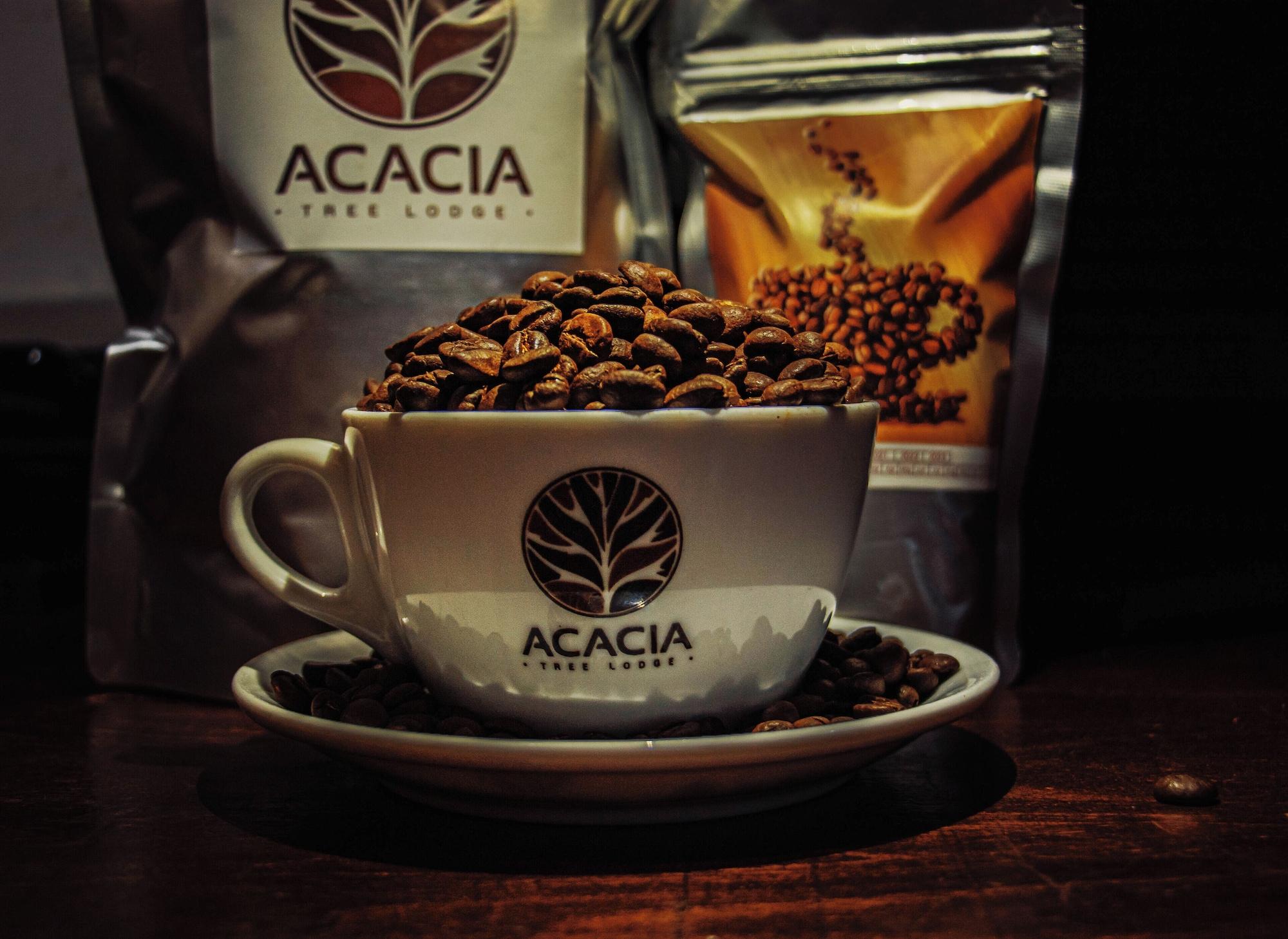 Bar/Salón Acacia Tree Lodge