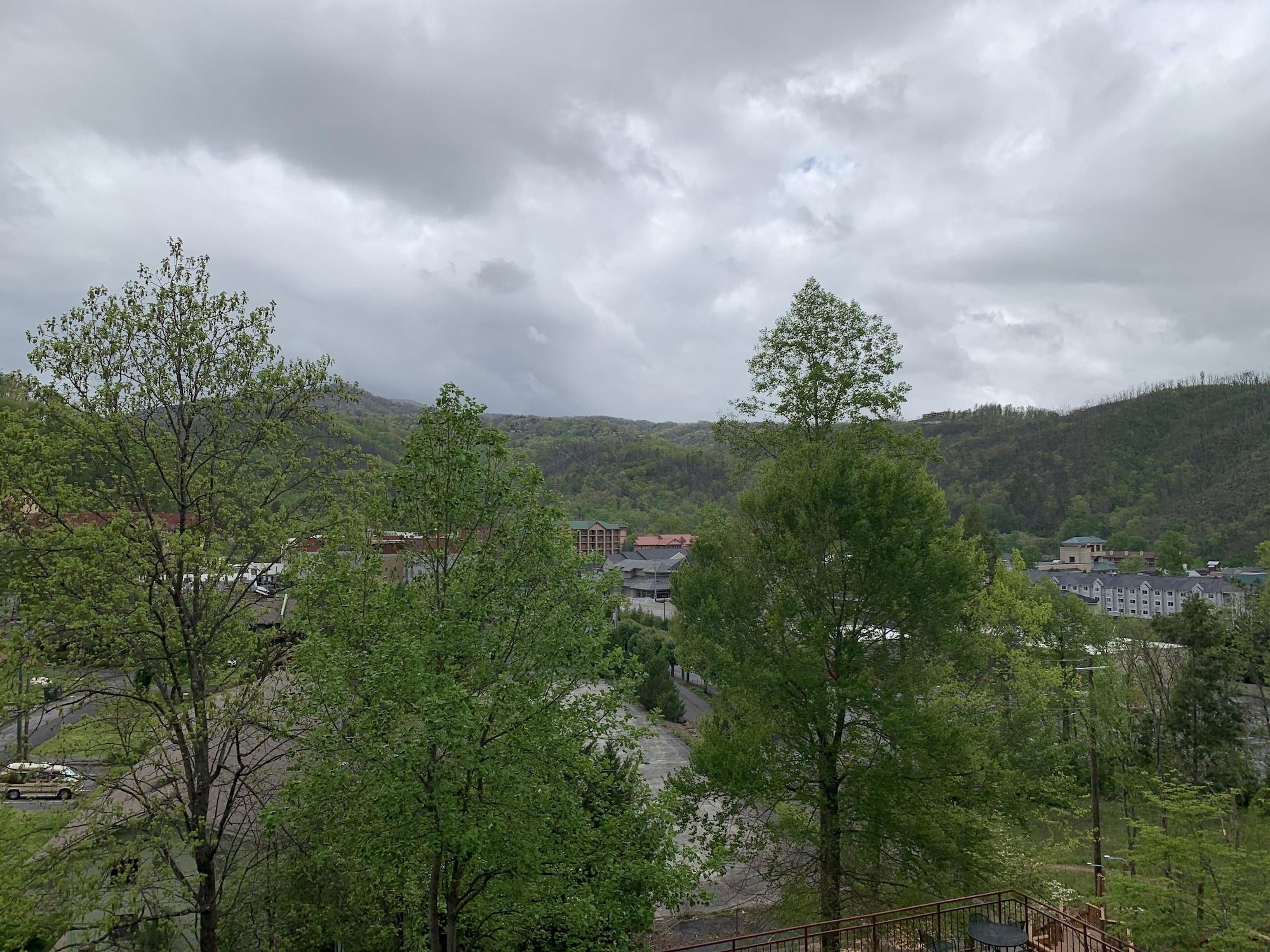 Equipamiento de Habitación Laurel Inn Condominium