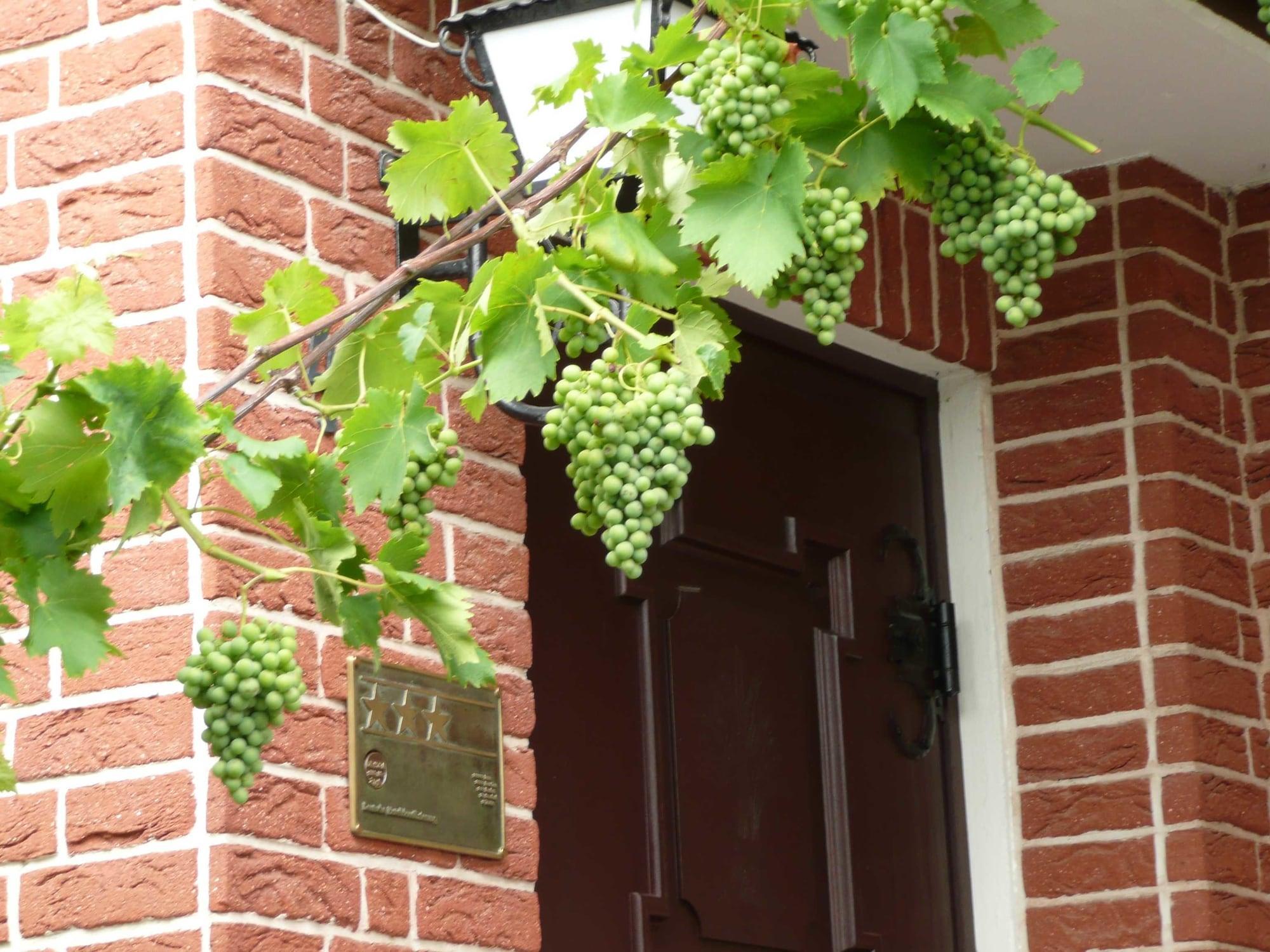 Vista Exterior Landgasthaus Hotel Bonn