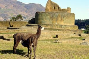 Actividad - Complejo Arqueologico Cañar- Inca De Ingapirca.