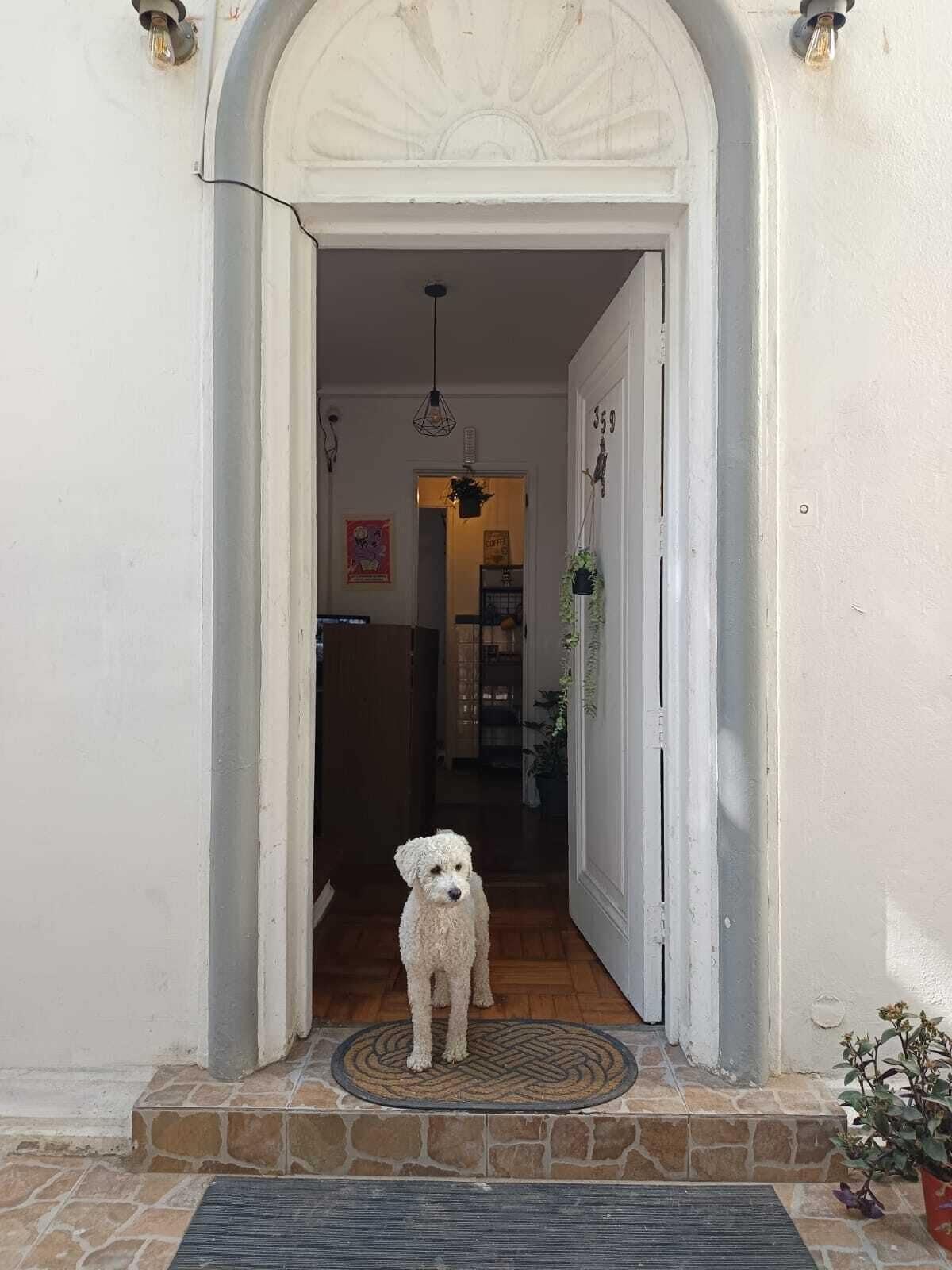 Vista Exterior Casa Tribu