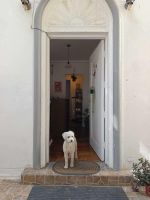 Alojamiento - Casa Tribu