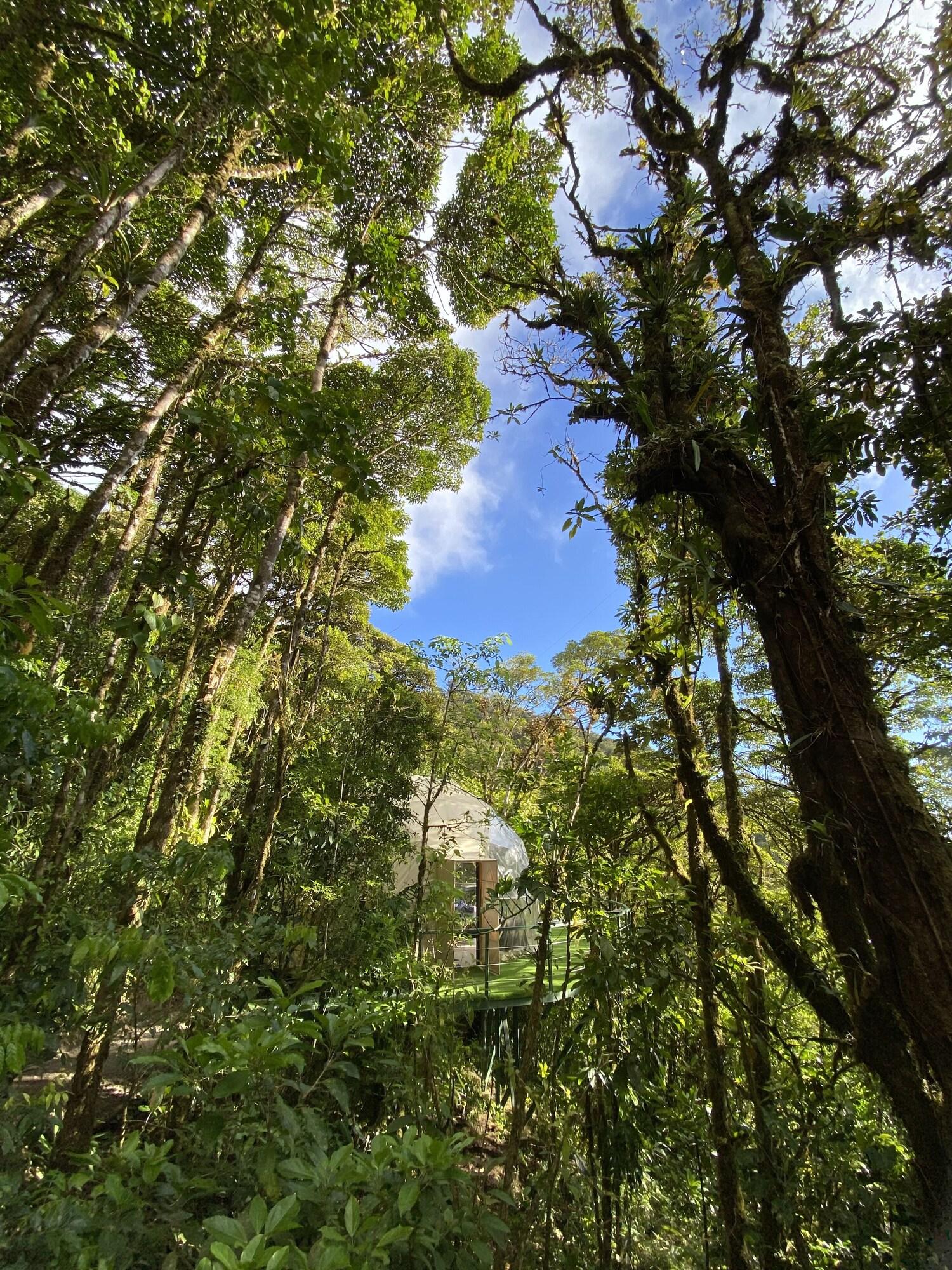 Comodidades del Alojamiento Way To Heaven Glaming