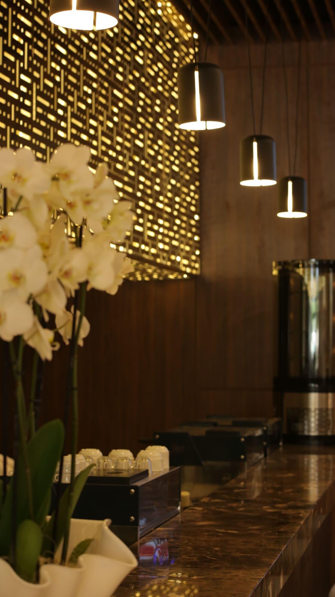 Vista Lobby ASBU Hotel