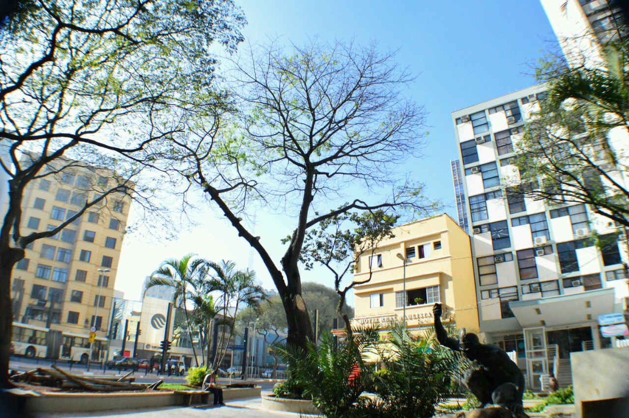 Vista Exterior Hotel Real Paulista