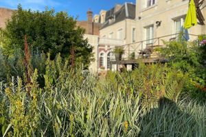 Alojamiento - Au Jardin des Deux Ponts