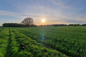 Alquiler Vacacional - Upper Pentlands - One bedroom luxury apartment with gym (pet-friendly)