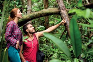 Actividad - OBSERVACION DE AVES EN MUNDO AMAZONICO