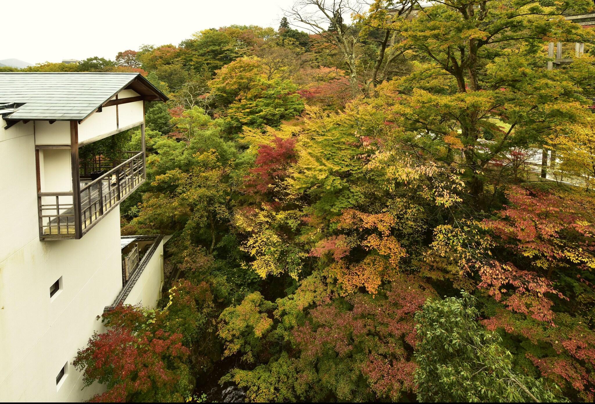 Vista Exterior Gora Kadan