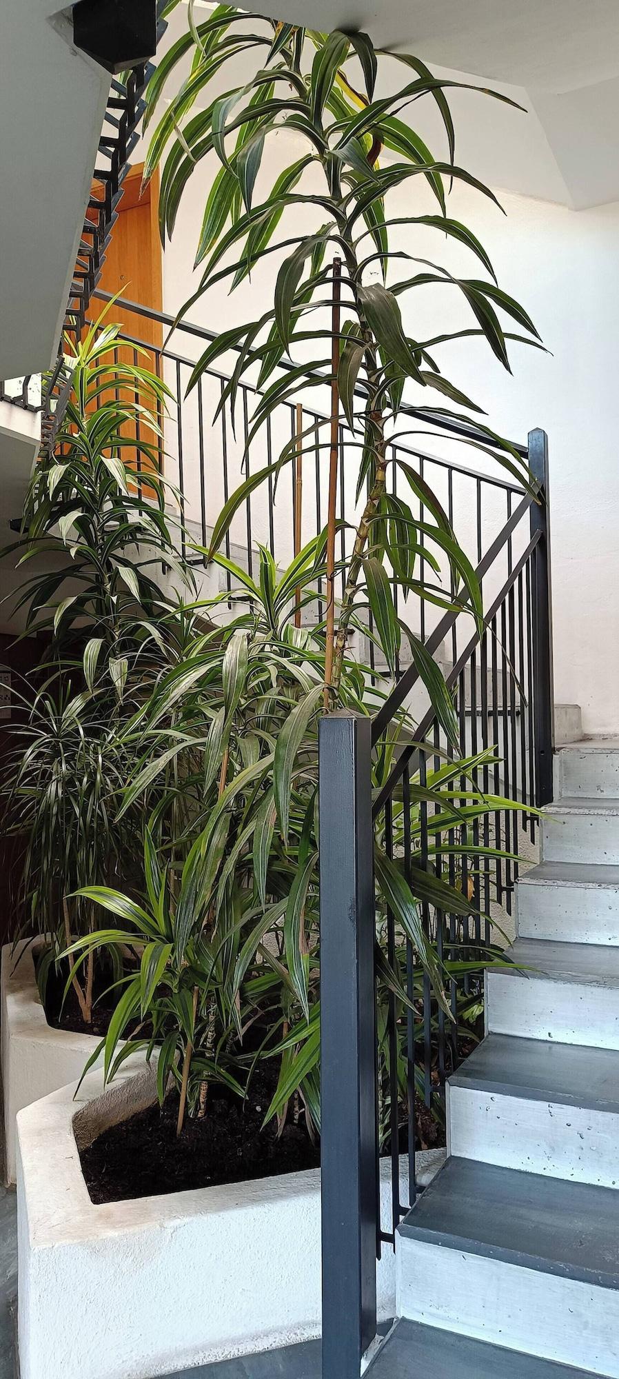 Comodidades del Alojamiento Room-cozy Room in Nagold With Private Fa